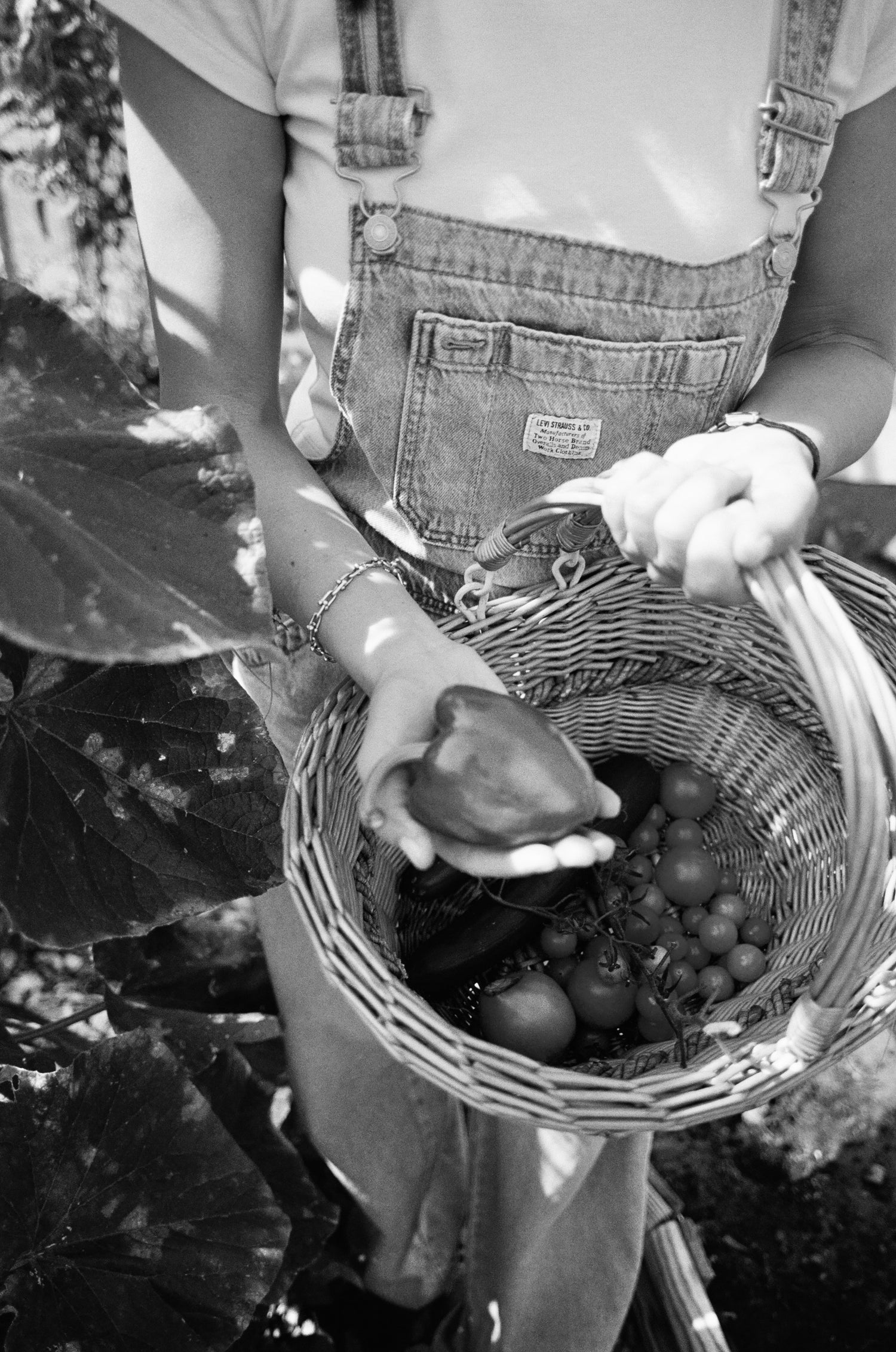 fullfilled Berlin garden veggies