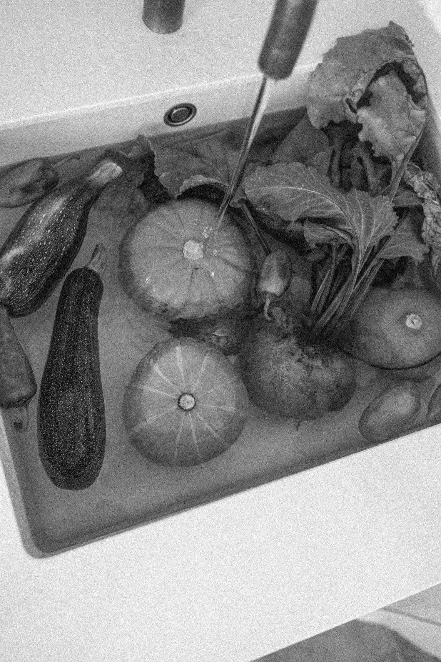 Gemuese in Waschbecken, Fullfilled Berlin